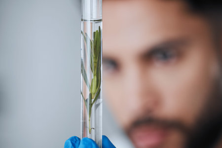 Science, test tube and man with plant sample in laboratory for research, biology and medicine...