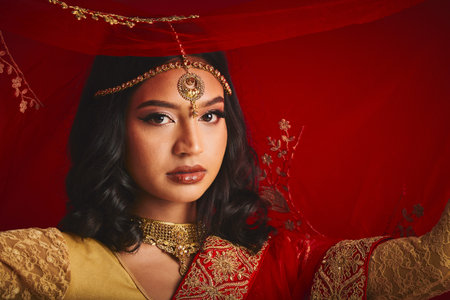 Fashion, veil and portrait of Indian woman with jewellery in traditional clothes, beauty and sari....