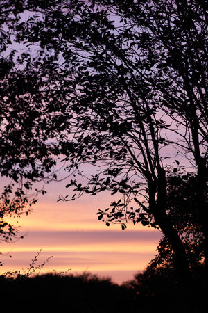 Denmark nature, countryside and environment. Nature in the Kingdom of Denmark.の写真素材