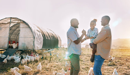 Playful, gay couple and chicken with black family on farm for agriculture, environment and bonding. Relax, nature and love with men and child farmer on countryside field for eggs, care and animalsの写真素材
