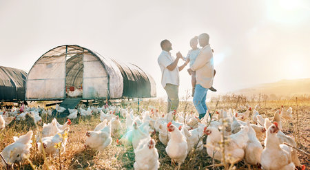 Happy, gay couple and chicken with black family on farm for agriculture, environment and bonding. Relax, lgbtq and love with men and child farmer on countryside field for eggs, care and animalsの写真素材