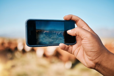 Person, hands and phone in photography, farming or animals for sustainability or natural agriculture. Closeup of farmer taking photo or picture of live stock or herd with mobile smartphone screenの写真素材