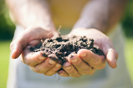 Gardening, soil in hands and palm of man in nature for agriculture, farming and planting flowers. Sustainability, environment and male person with earth, fertilizer and dirt on hand for earth dayの写真素材