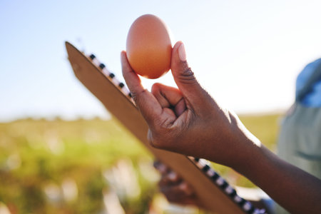 Hand of farmer in field with chickens, clipboard and egg, quality assurance and sustainable small...