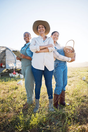 Eggs, women and working together on farm with technology for inspection and quality control....