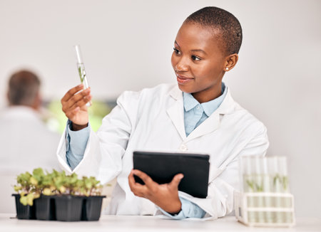 Scientist, woman and plants, tablet and test tube for laboratory research, agriculture or sustainability analysis. African student in science of leaf, growth check and eco study on digital technologyの写真素材