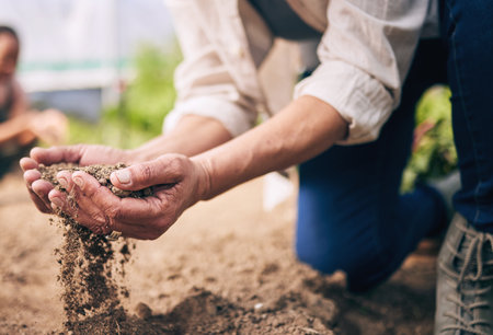 Farming, hands and outdoor with soil, dust and dirt for growth, inspection and drought at agro job. Person, sand and compost for agriculture, climate change and sustainability in closeup on groundの写真素材