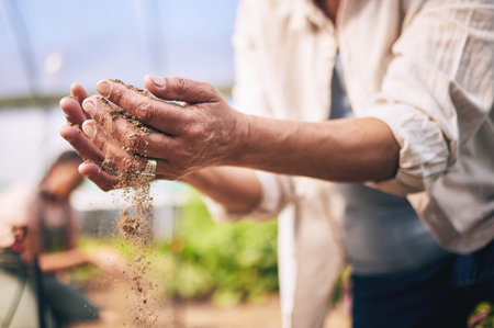 Farming, hands and outdoor with soil, sand or dirt for growth, inspection or drought at agro job....