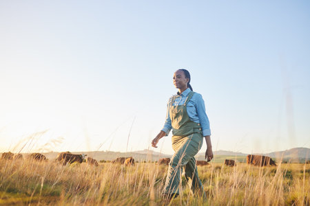 Woman, farmer and walking in countryside on grass field with cow and cattle worker. African female person, and agriculture outdoor with animals and livestock for farming in nature with mockup spaceの写真素材