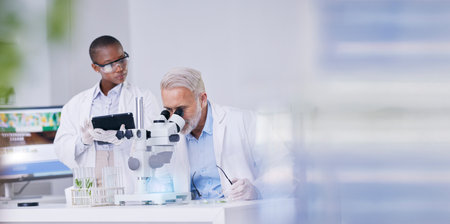 Science, black woman with mockup and man with microscope, biotech and digital research in plants for medicine. Scientist team in study on nature, growth and digital analysis on tablet in laboratory.の写真素材