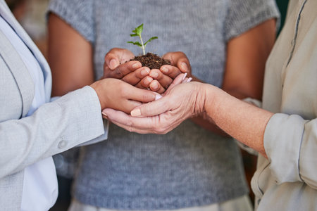 Plant grow, hands and professional people support sustainability, green charity project or eco business development. Earth Day kindness, fertilizer soil and closeup team helping future climate changeの写真素材