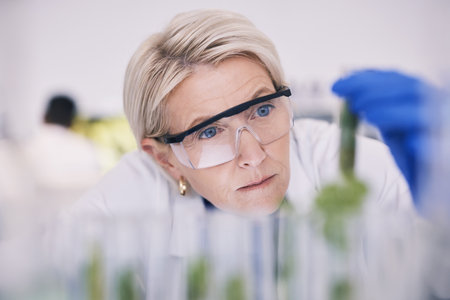 Science, plants and woman with test tube growth in laboratory, medical research and natural medicine. Biotech, pharmaceutical and scientist with leaf, lab technician checking green leaves in glass.の写真素材