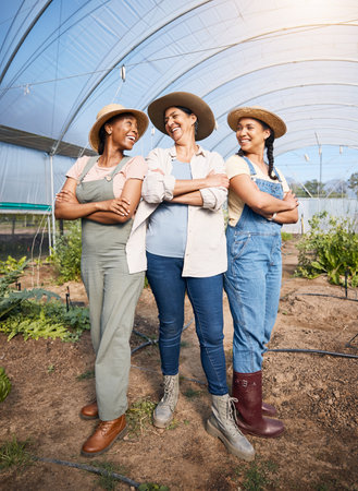Farming, group of women in greenhouse with confidence at sustainable small business and agriculture. Happy farmer team at vegetable farm, agro pride and diversity with eco friendly organic plants.の写真素材