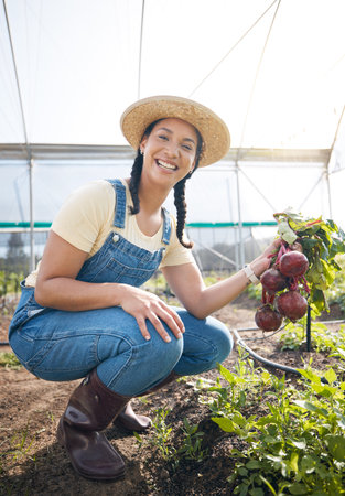 Greenhouse, portrait of happy woman holding beetroot at sustainable small business in agriculture and organic food. Girl working at agro farm, vegetable growth in garden and eco friendly with smile.の写真素材