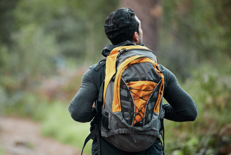Man, backpack and walking with back, view and camping travel in the forest for holiday. Exercise,...