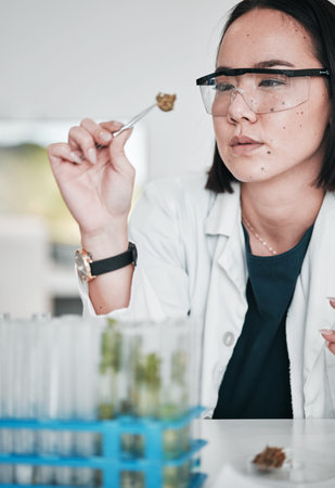 Science, plant sample and Asian woman in laboratory for analysis, medical research and study....
