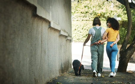 Women, walking and couple with a dog in street, park or portrait outdoor in spring with pet on lead...