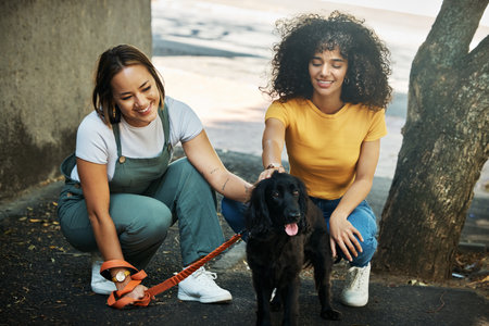 Love, smile and a lesbian couple walking their dog together outdoor in the city for training or exercise. LGBT, health and a happy woman with her girlfriend to teach their pet animal on a leashの写真素材