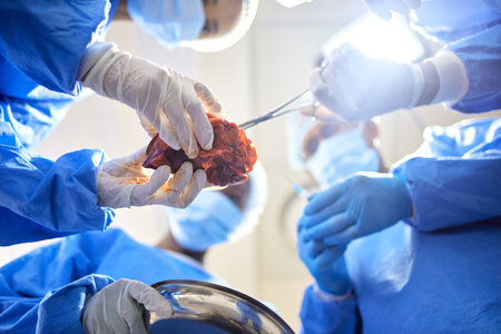 Organ, group hands and doctor surgery, medical support or teamwork on saving life, healing accident injury or anatomy operation. Healthcare service, below view or closeup surgeon collaboration in ICUの写真素材