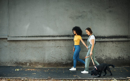 Walking, women and lesbian couple with dog in city, street or holding hands with pet on lead and wall, mockup or urban space. Lgbt, people and journey with animal for exercise, wellness or happinessの写真素材