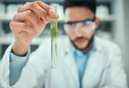 Science, test tube plant and man focus on pharmaceutical test, biotechnology development or botany innovation. Lab hand, pharmacy clinical trial or male scientist inspection of leaf chemical solutionの写真素材