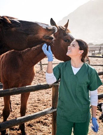 Vet, ranch and doctor with care for horse for medical examination, research and health check....