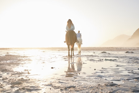 Woman, horse riding and friends on beach with sand for travel, vacation or holiday trip outdoor in nature. Back, people and animal in summer with lens flare by ocean or sea for sunset and travellingの写真素材