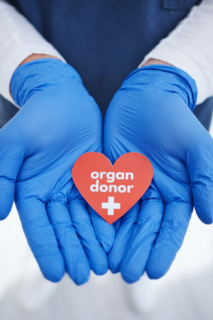 Heart, hands and doctor with organ donation, help and medical transplant in hospital zoom....