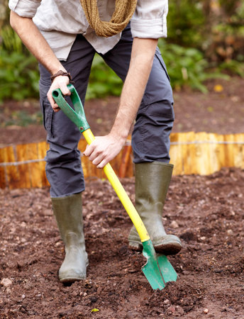 Hands, shovel and man digging the soil, dirt or ground in garden and backyard. Gardening,...