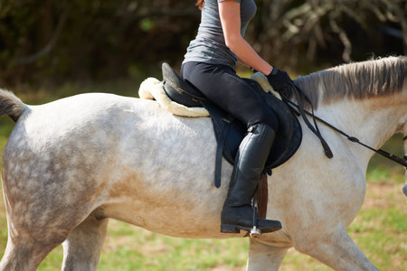 Closeup, horse riding or woman in countryside outdoor with rider or jockey for recreation or wellness. Freedom, saddle or athlete with a healthy pet animal for training, exercise or support on farmの写真素材
