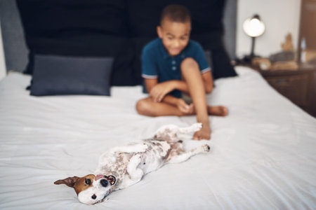 Nothing ruff about this life. an adorable little boy playing with his pet dog on the bed at home.