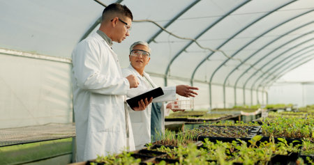Science, tablet and people in a farm greenhouse for agriculture, sustainability or growth in medical industry. Teamwork, research or innovation with a man and woman scientist looking at plant lifeの写真素材
