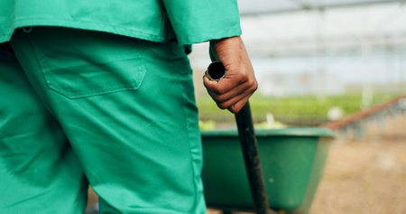 Hand, wheelbarrow and a farmer in a greenhouse for growth, agriculture or sustainability in season. Back, closeup and a equipment on a farm with a person in the countryside for environmental ecologyの写真素材