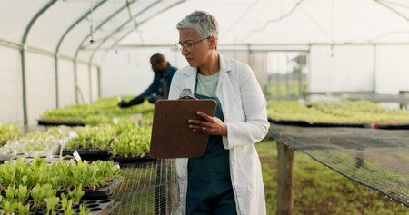 Scientist, woman and checklist for greenhouse farming, gardening or agriculture inspection of plants...