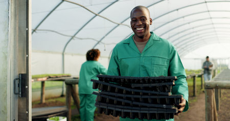 Portrait, farmer and black man with tray at greenhouse for organic vegetables, plant and growth for sustainability. Face, smile and person at nursery for agriculture, African worker or business ownerの写真素材
