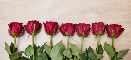 Background, row of flowers and roses in red color for valentines day, anniversary event and celebration of love. Closeup, banner and floral plants on table in line with mockup, space and decorationの写真素材