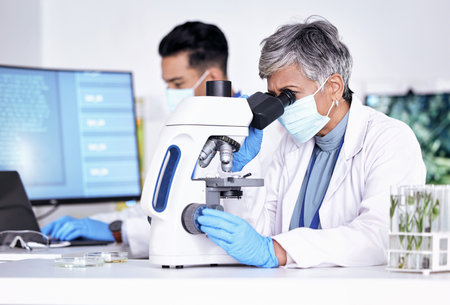Microscope, science and ecology with senior woman in laboratory, environmental study and medical...