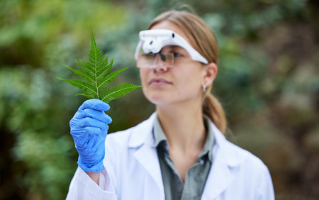 Science in forest, analysis and woman with leaf, studying growth of trees and sustainable plants in...