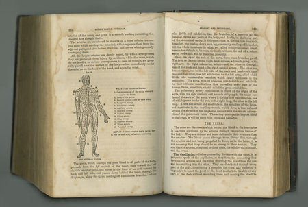 Medical journal. An aged anatomy book with its pages on display.の写真素材