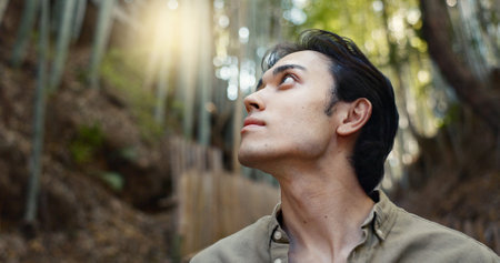 Face, thinking or Asian man in forest for journey on holiday, vacation for freedom or wellness. Hiking, travel and Japanese male person with insight for calm, peace and inspiration to relax in parkの写真素材