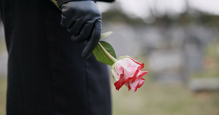 Funeral, cemetery and hands of person with flower for remembrance, ceremony and memorial service. Depression, death and closeup of rose for mourning, grief and loss in graveyard for bereavementの写真素材
