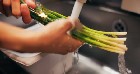 Chef hands, wash spring onion and sink for dirt, virus or bacteria for safety, cooking and meal prep. Person, closeup and cleaning vegetable in water, faucet or kitchen for catering at restaurant jobの写真素材