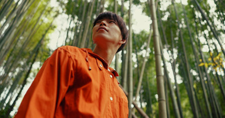 Japanese man, bamboo trees and nature on walk, adventure and hiking with thinking, ideas and journey. Person, outdoor or trekking for peace, mindfulness or woods at Fushimi Inari on vacation in Kyotoの写真素材