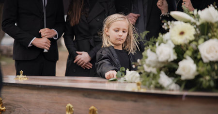 Death, grief and girl at funeral with flower on coffin, family and sad child at service in graveyard...