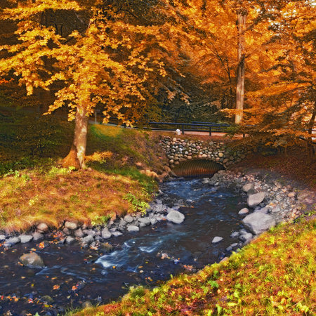 Autumn, landscape and trees in river with bridge, woods and natural environment with leaves, plants and rock. Stream, water and forest with growth, sustainability and ecology with grass in Denmarkの写真素材
