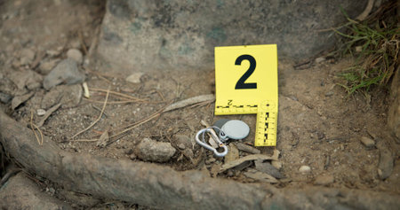 Closeup, evidence marker and forensic for investigation at crime scene with keys on ground or accident location in forest. Yellow numbers, homicide or case research with observation outdoor in woodsの写真素材