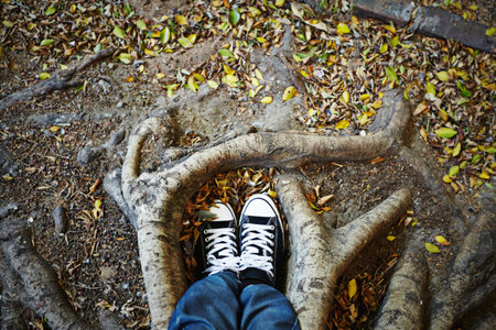 Pov, shoes and person in park with fashion, casual style and trendy sneakers by trees or nature. Top...