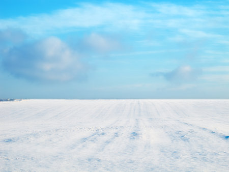 Snow, countryside and winter in landscape with blue sky, background and sunshine in nature. Earth, cold and travel for holiday, trip and vacation in Switzerland for adventure or hike in parkの写真素材