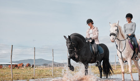 Friends, countryside and horse for equestrian sport, stallion and riding hobby on ranch in water. Woman, happy and holiday with rider, horsemanship and trotting in agriculture outdoors in Argentinaの写真素材