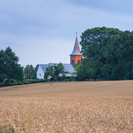 Field, wheat and church in outdoor nature, agriculture and raw food ready for harvesting in farm....